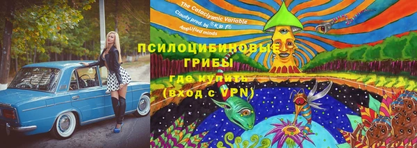 первитин Алексин